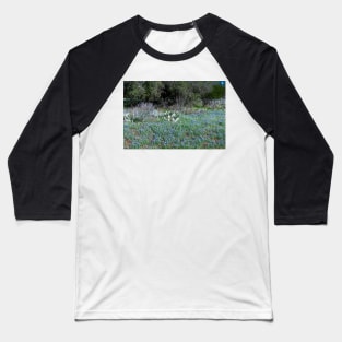 Texas Hill Country Bluebonnets in Spring Baseball T-Shirt